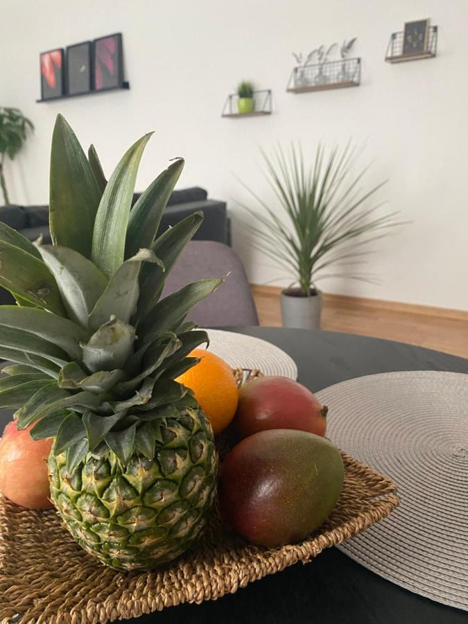 Apartmán Penthouse West S Varaždin Exteriér fotografie